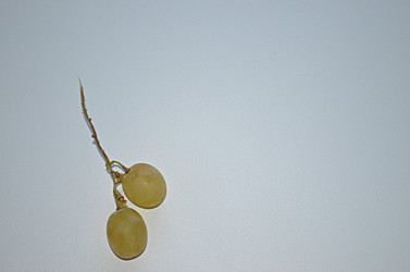 Similar image 22763601
