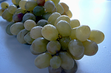 Similar image 22763188