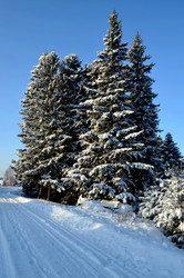 Similar image 22763591
