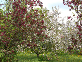 Similar image 22759701