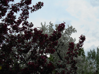 Similar image 22759702