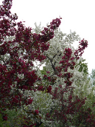 Similar image 22759713