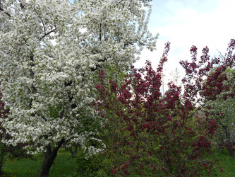 Similar image 22759727