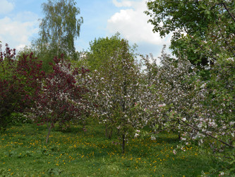 Similar image 22759728