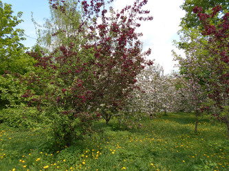 Similar image 22759730
