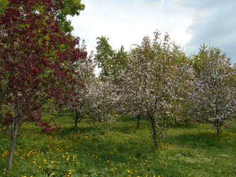 Similar image 22759745