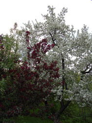 Similar image 22759747