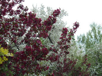 Similar image 22759750