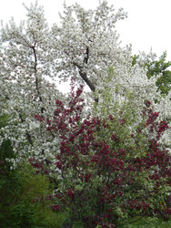 Similar image 22759651