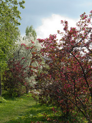 Similar image 22759652