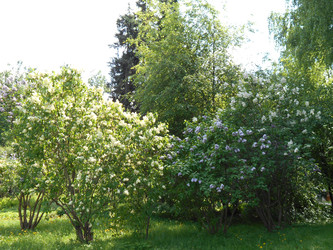 Similar image 22759734