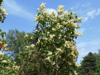 Similar image 22759735