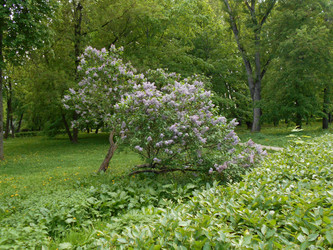 Similar image 22759738