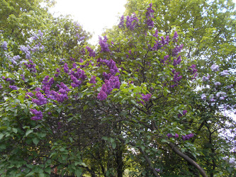 Similar image 22759752