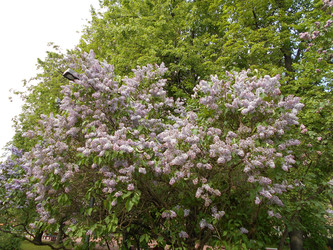 Similar image 22759754