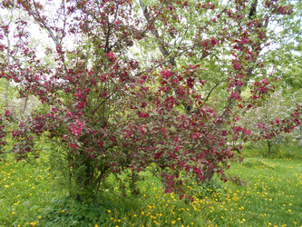 Similar image 22759653