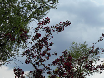 Similar image 22759654
