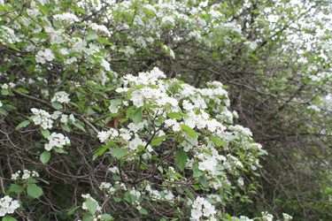 Similar image 22759684