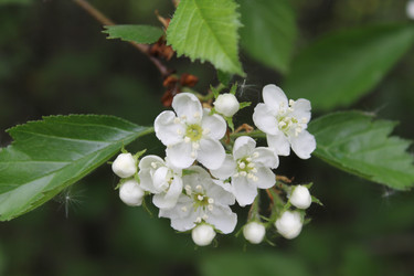 Similar image 22759685