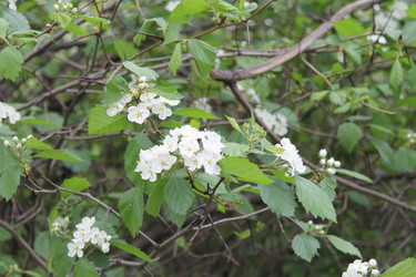 Similar image 22759703