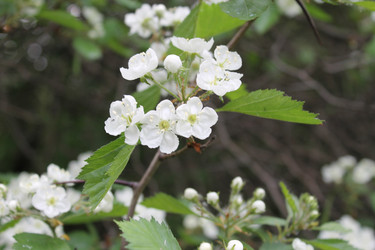 Similar image 22759704