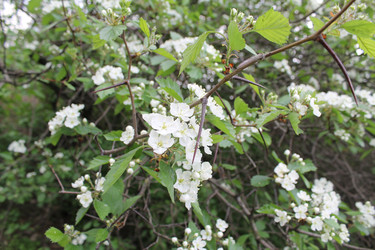 Similar image 22759717