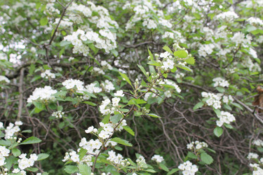 Similar image 22759718