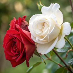 Similar image 22756476