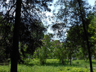 Similar image 22759636