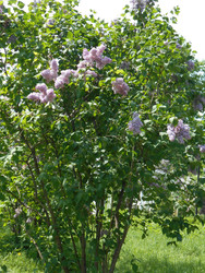 Similar image 22759644