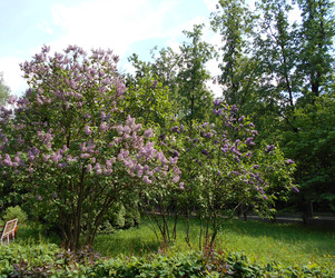 Similar image 22759658