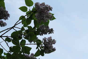 Similar image 22759660