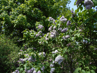Similar image 22759662