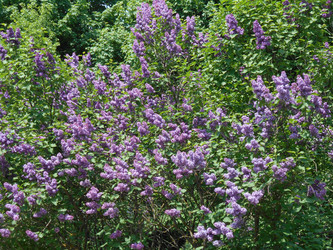 Similar image 22759663