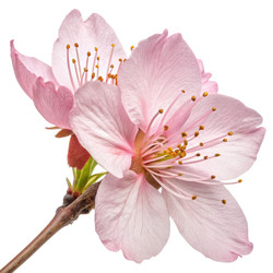 Similar image 22758768