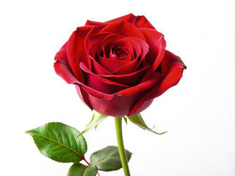 Similar image 22765947