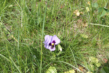 Similar image 22759757