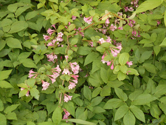 Similar image 22759758