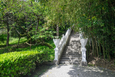 Similar image 22758904