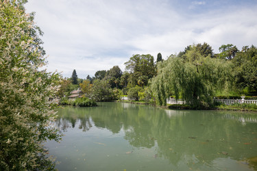 Similar image 22758905