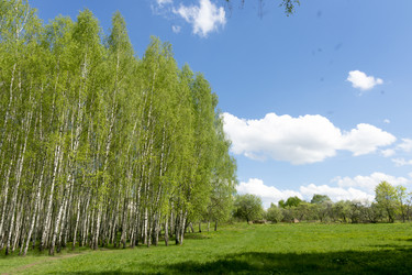 Similar image 22763741