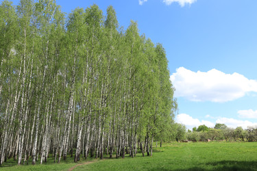 Similar image 22763750