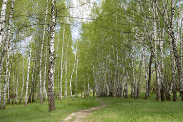 Similar image 22763753