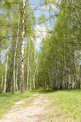 Similar image 22763754