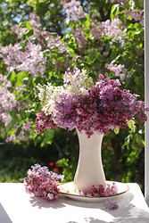 Similar image 22759173