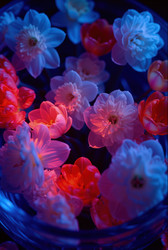 Similar image 22765175