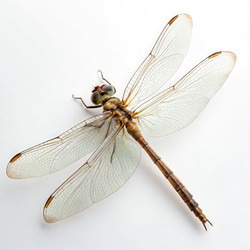 Similar image 22764518