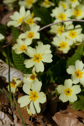 Similar image 22759049