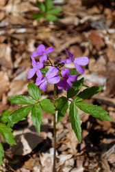 Similar image 22759050