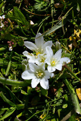 Similar image 22759322